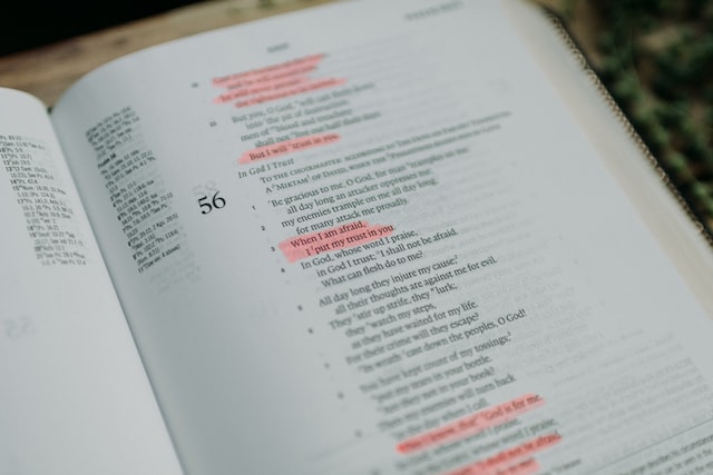【Next.js】next-mdx-remoteでインラインコードとコードブロックコピーボタンを実装する